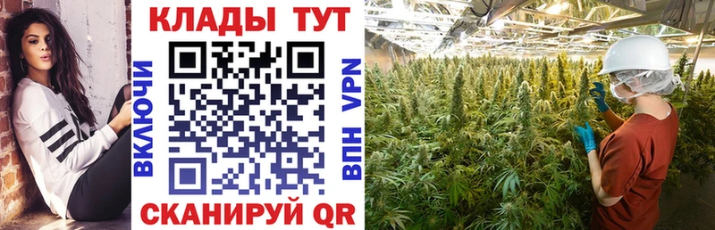 Какие есть наркотики Зима АМФЕТАМИН Меф Alpha-PVP ГАШИШ Cocaine Канабис